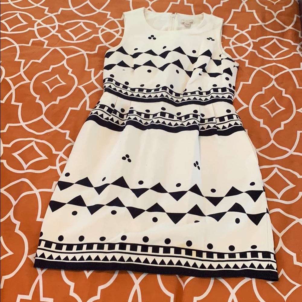 J Crew Navy and White Dress